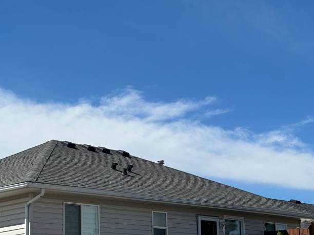 Best Roof Inspection  in Lynnwood, WA